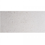 BẬC CẦU THANG TERRAZZO TS1-25S
